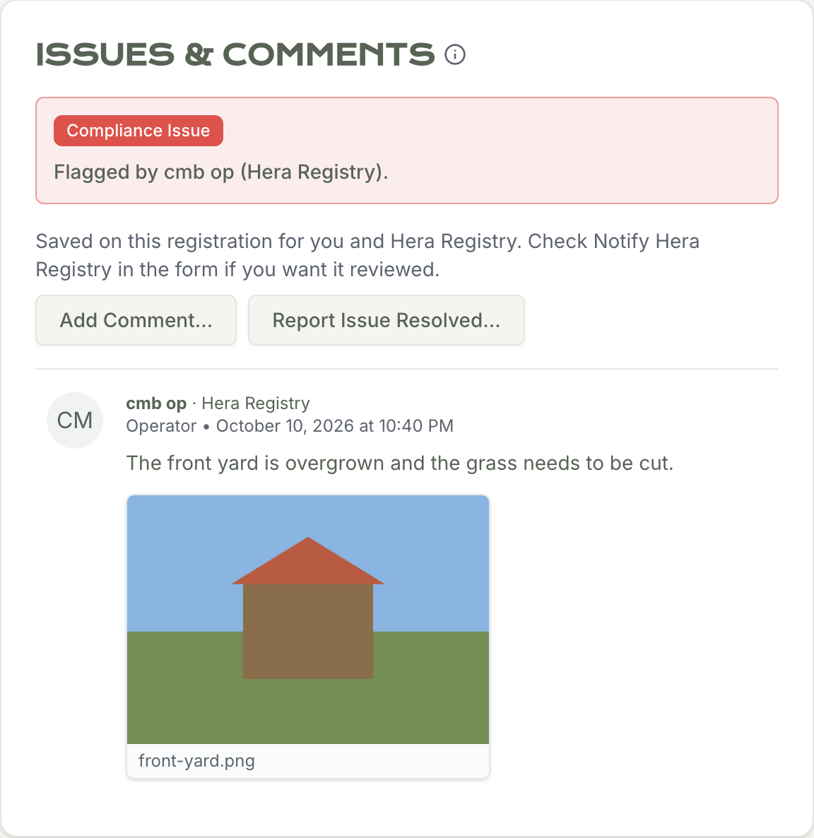 Issues and Comments on the registration, with the open compliance issue and its photo